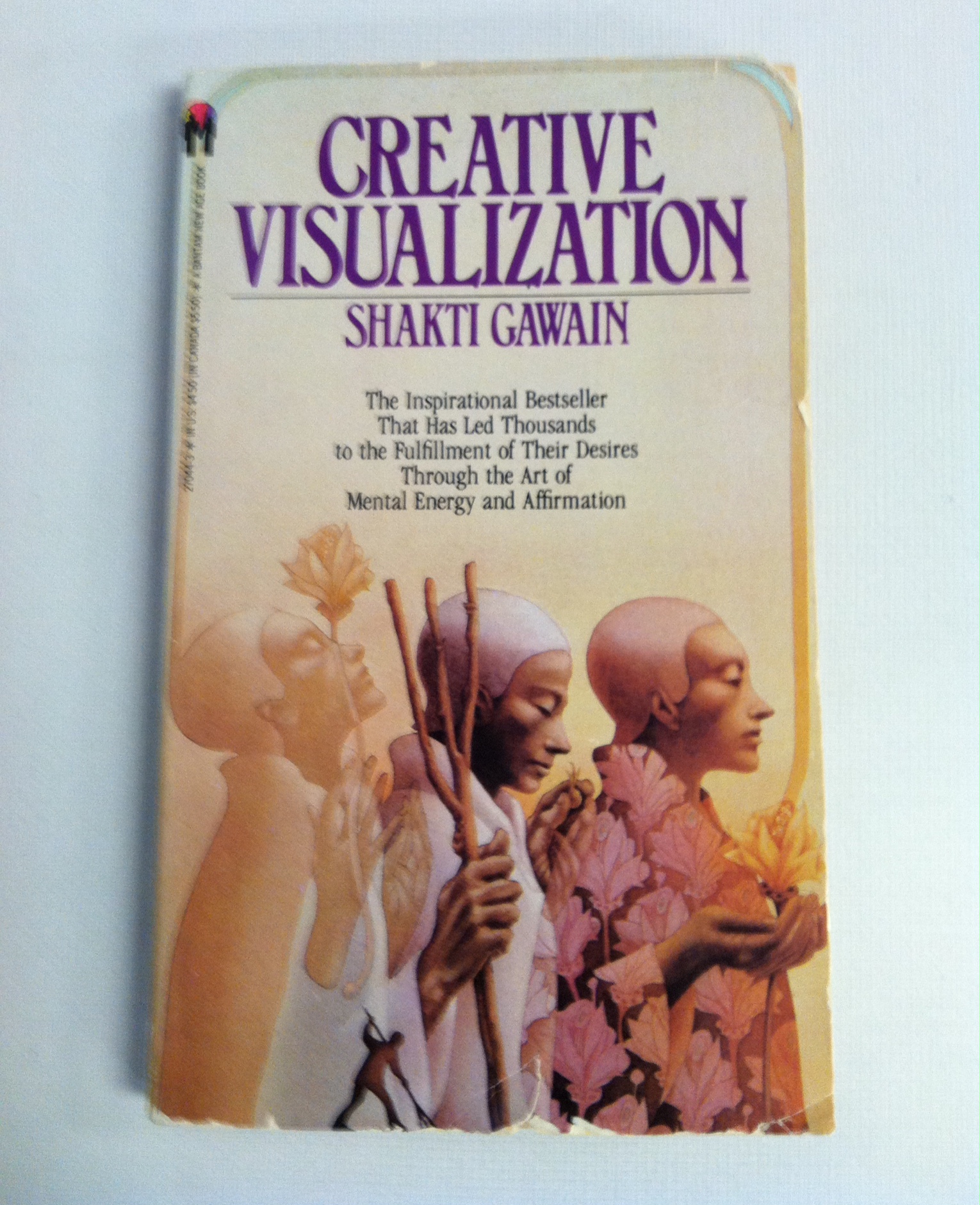 creative visualization shakti